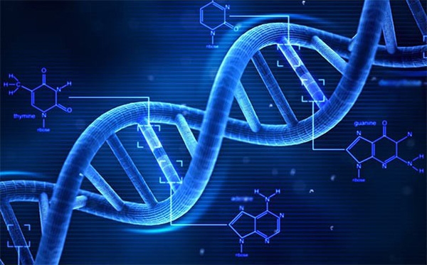 Polyp đại tràng là bệnh gì