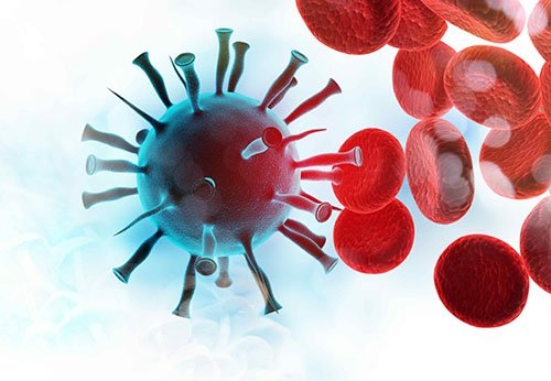 Nồng độ virus viêm gan B trong máu