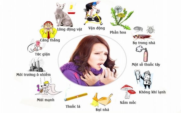 Các tác nhân gây viêm mũi dị ứng cần được loại bỏ