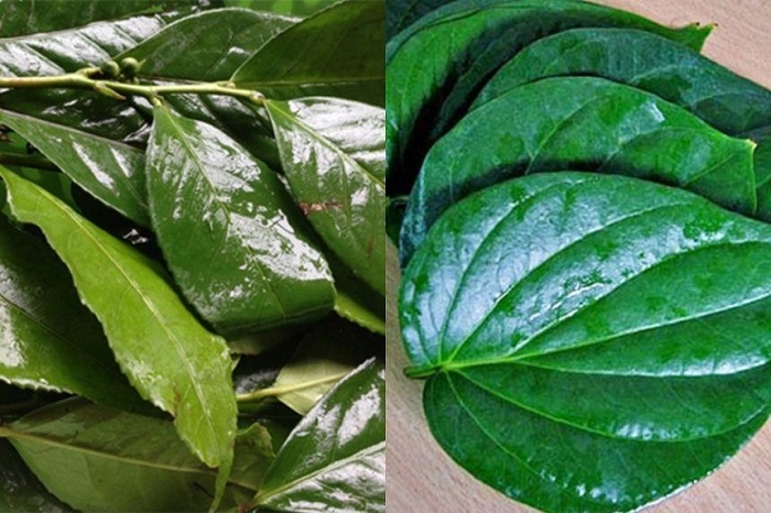Chị em cũng có thể thu hẹp cửa mình bằng xông hơi.