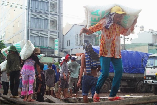 Lý do dẫn đến đau cơ vai
