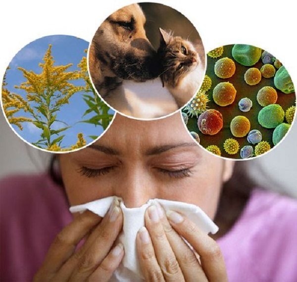 3 nguyên nhân chính gây viêm mũi dị ứng 
