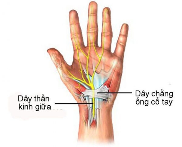 Nhiều người thắc mắc tê mỏi chân tay là biểu hiện của bệnh gì