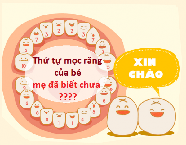 bé chậm mọc răng phải làm sao