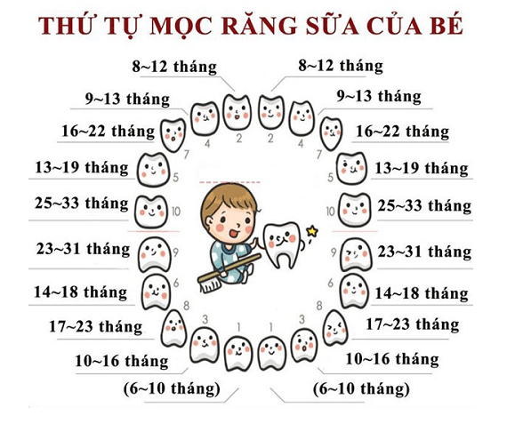 Thứu tự mọc răng của trẻ