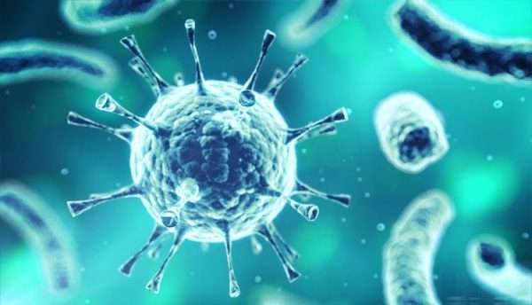 virus lây nhiễm qua nụ hôn