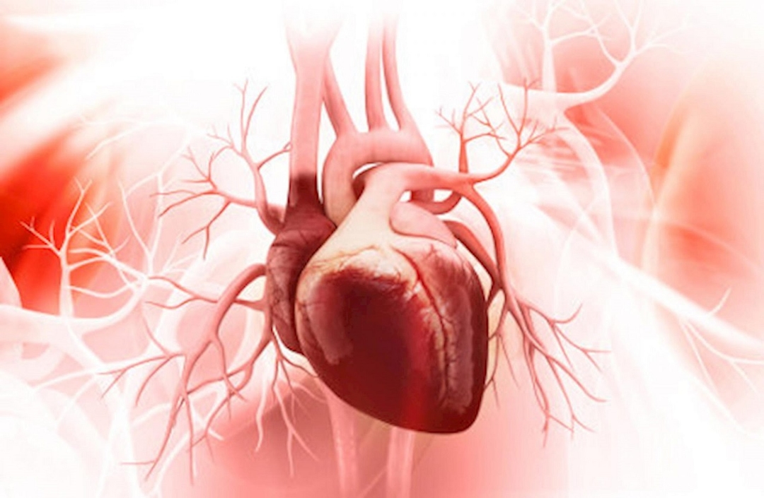 Bệnh hở van tim và những điều bạn cần phải biết