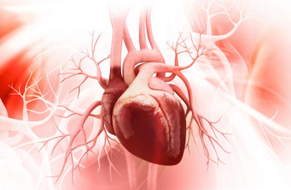 Bệnh hở van tim và những điều bạn cần phải biết