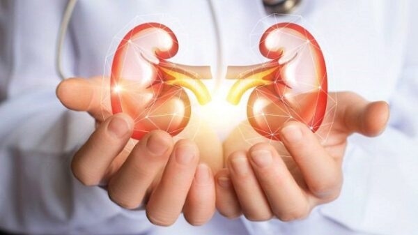 Người bị suy thận độ 1 nên uống thuốc gì để chức năng thận hoạt động bình thường