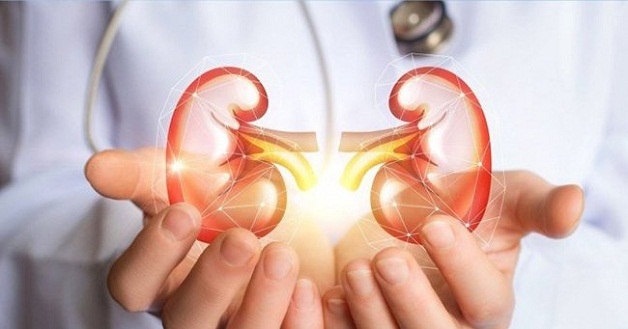 Suy thận sống được bao nhiêu năm phần lớn được quyết định bởi cấp độ phát triển của bệnh