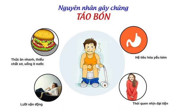 Bệnh lý tiêu hóa táo bón