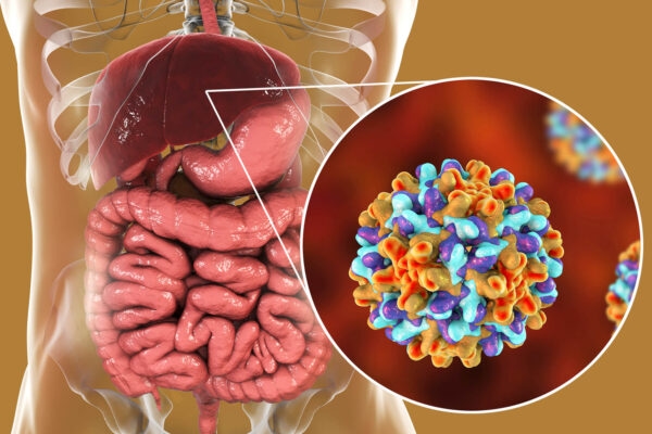 con đường lây lan virus viêm gan B