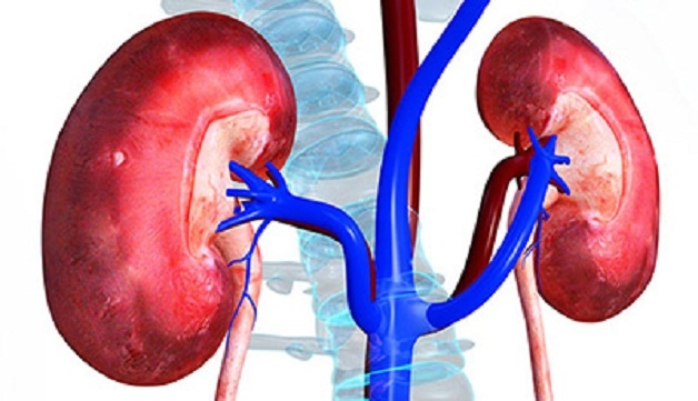 Nội soi lấy sỏi thận qua da giúp bảo tồn tối đa chức năng thận