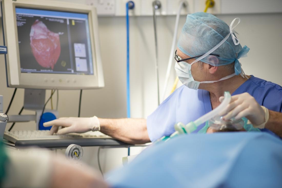 Bác sĩ sẽ loại bỏ polyp khi phát hiện ra lúc thực hiện soi tử cung