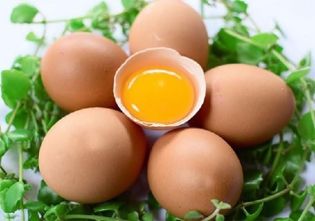 U xơ tử cung có được ăn trứng không?