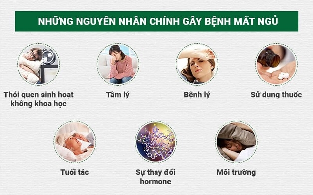 Có rất nhiều nguyên nhân gây mất ngủ kéo dài như: yếu tố bệnh lý, yếu tố môi trường,...