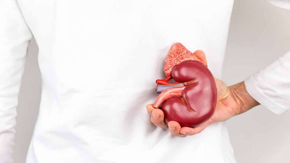 Những điều cần biết về tăng sản thượng thận bẩm sinh