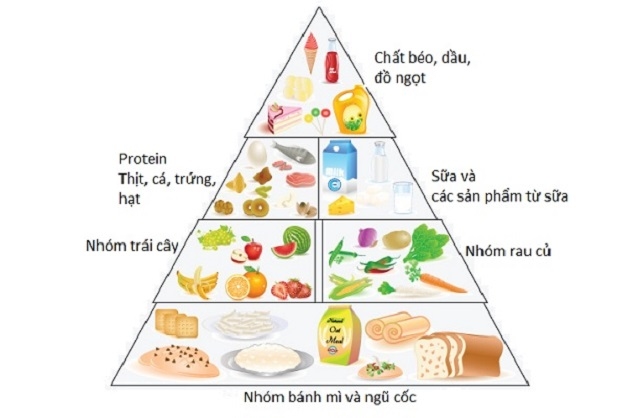 Tháp dinh dưỡng dành cho trẻ biếng ăn hay nôn trớ