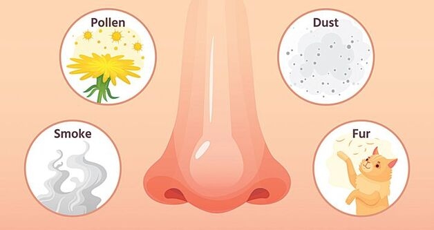 triệu chứng của viêm mũi dị ứng
