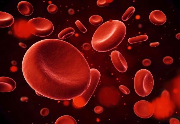 Xét nghiệm máu có rất nhiều ý nghĩa