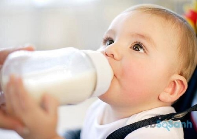 Sữa chỉ là giải pháp hỗ trợ, không có tác dụng thay thế cho khẩu phần ăn chính đầy đủ các chất
