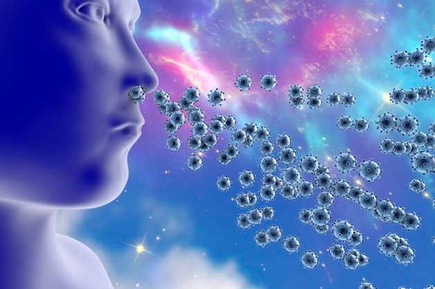 Viêm phế quản ở trẻ nhỏ là bệnh về đường hô hấp quen thuộc, thường do virus gây ra, phổ biến nhất chính là virus influenza.