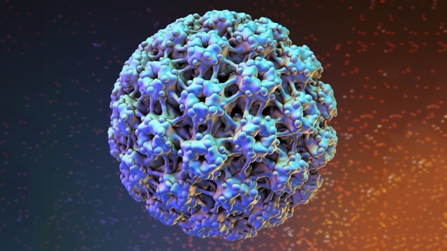 Virus HPV có chữa được không? Có nguy hiểm hay không?