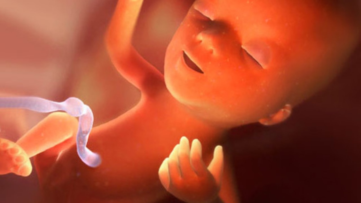 Những thay đổi của mẹ và bé giai đoạn siêu âm thai 15 tuần