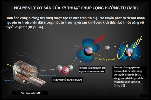 bệnh viện chụp cộng hưởng từ MRI dựa trên nguyên lý nào?