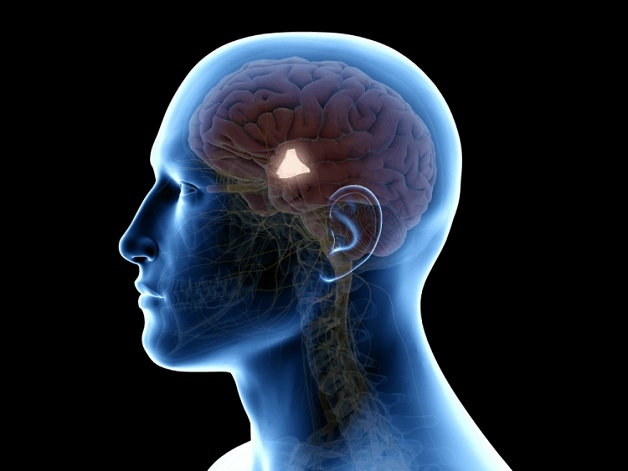 Những bất thường của hệ thần kinh có thể là nguyên nhân gây ra bệnh đau buốt đầu.