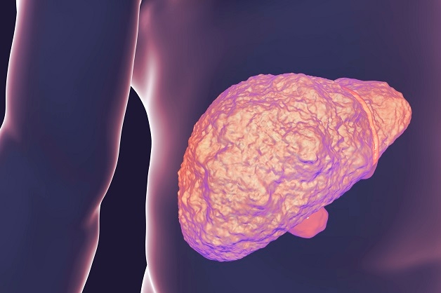 Virus viêm gan C sống được bao lâu và có nguy hiểm không?