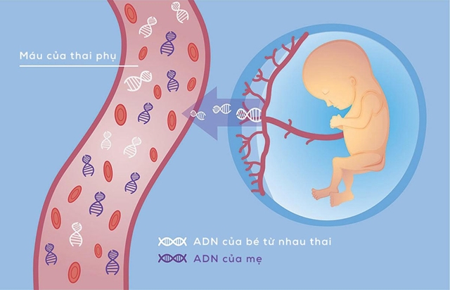 Xét nghiệm NIPT bao nhiêu tiền và chờ kết quả bao lâu?