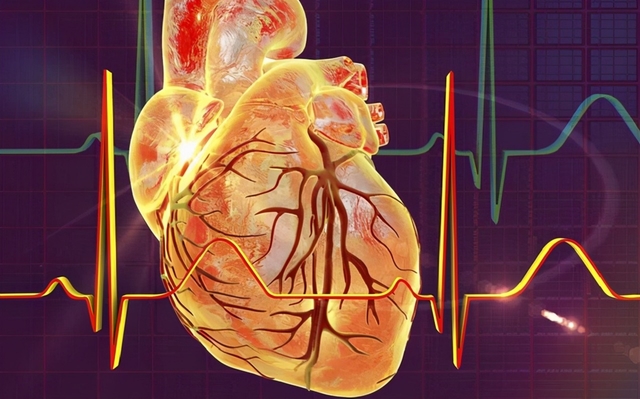 Mạch vành tim: Nguy cơ bệnh lý, cách điều trị và bảo vệ