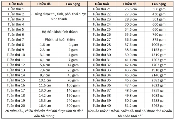 Bảng định mức cân nặng thai nhi