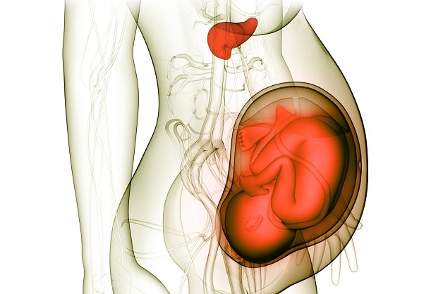 Lây truyền viêm gan B mãn tính