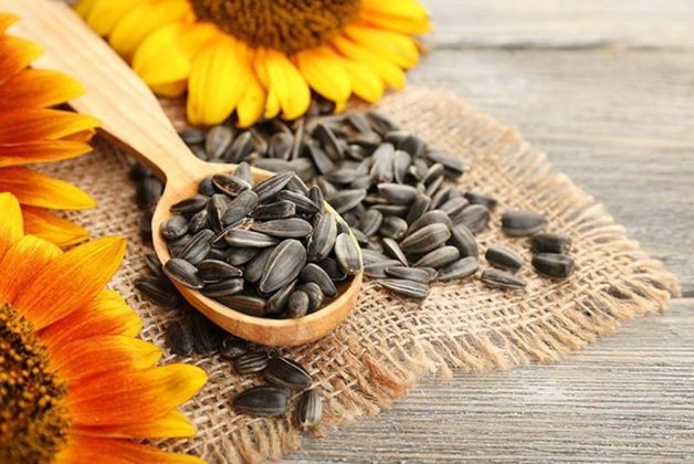 Hạt hướng dương tốt cho mắt