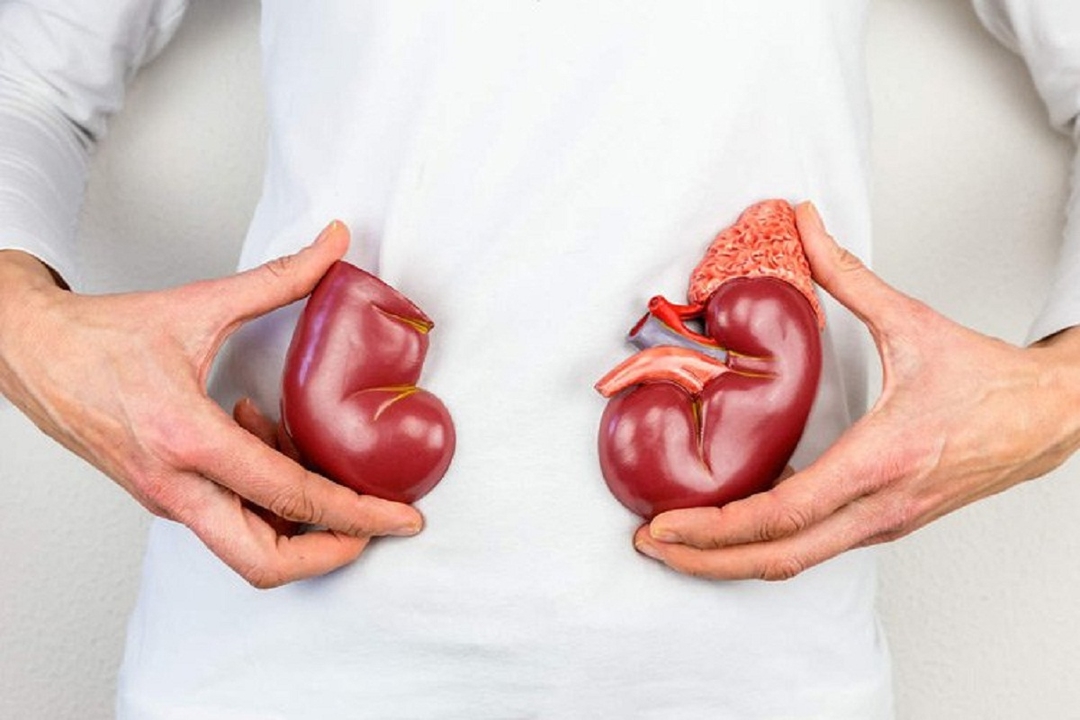 Sỏi đường tiết niệu uống thuốc gì để nhanh khỏi?