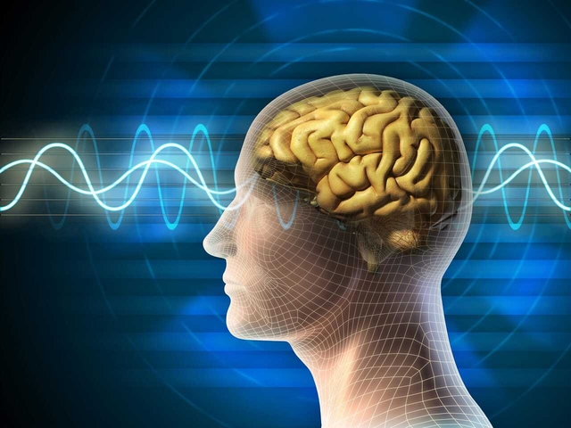 Vì sao người già hay quên và làm gì để khắc phục?