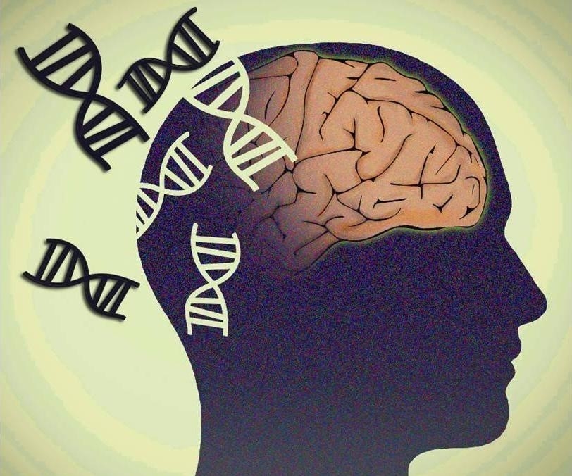 Alzheimer ở người trẻ tuổi hiện chiếm từ 5-6% tổng số người mắc