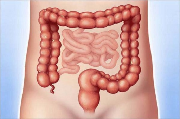 Bệnh đại tràng là bệnh phổ biến ở hệ tiêu hóa