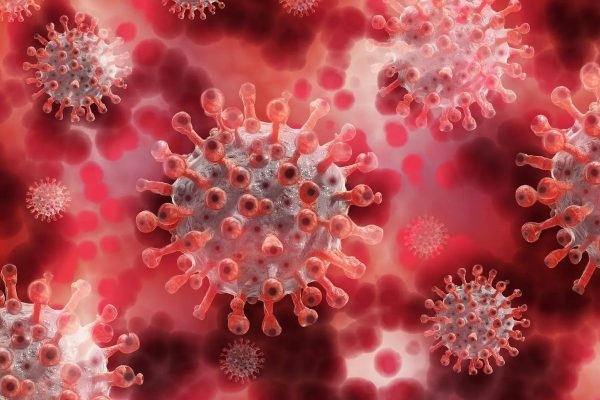 Virus Herpes Zoster là nguyên nhân chính gây ra bệnh thủy đậu thường gặp ở trẻ