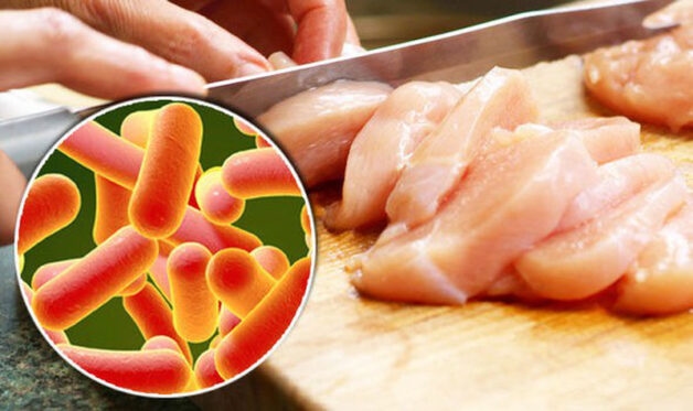 Nhiễm samollela từ thực phẩm