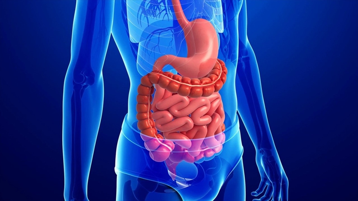 Phân biệt hội chứng ruột kích thích và viêm đại tràng
