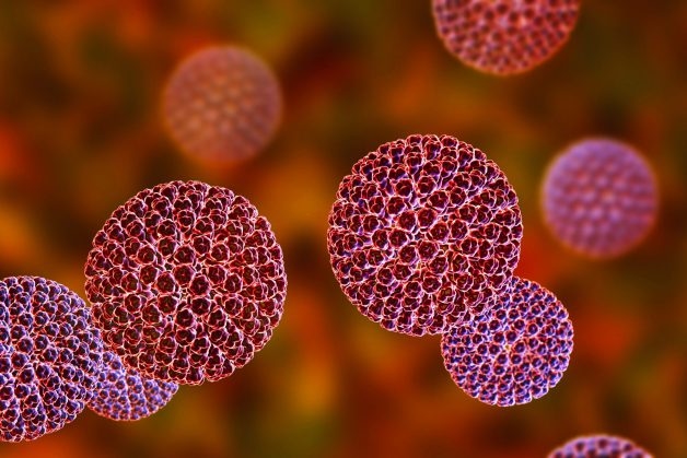 Rotavirus là virus gây tiêu chảy cấp ở trẻ phổ biến nhất