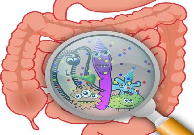 Viêm ruột cấp ở trẻ em do vi khuẩn