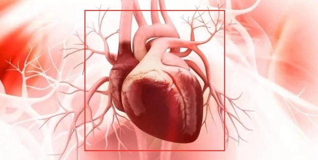 Thiếu máu cơ tim và nguy cơ biến chứng nguy hiểm