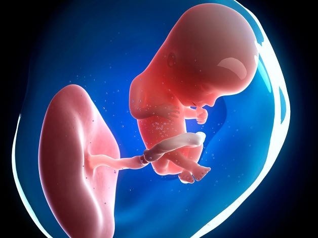 Mẹ mắc u nang buồng trứng sẽ gia tăng nguy cơ lây truyền mầm bệnh cho con từ trong bào thai