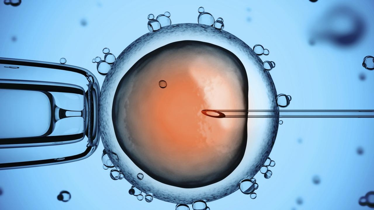 Thai ngoài tử cung khi IVF &#8211; Những dấu hiệu cần lưu ý