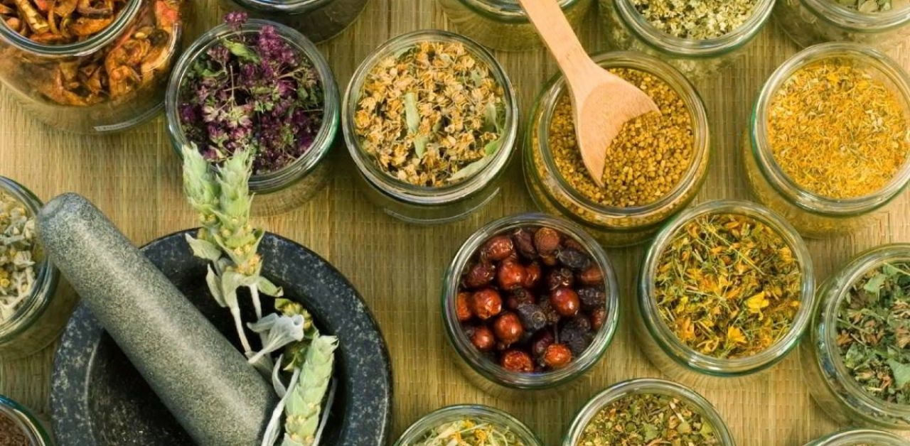 Thảo dược chữa u xơ tử cung &#8211; Bí quyết chữa bệnh từ thiên nhiên