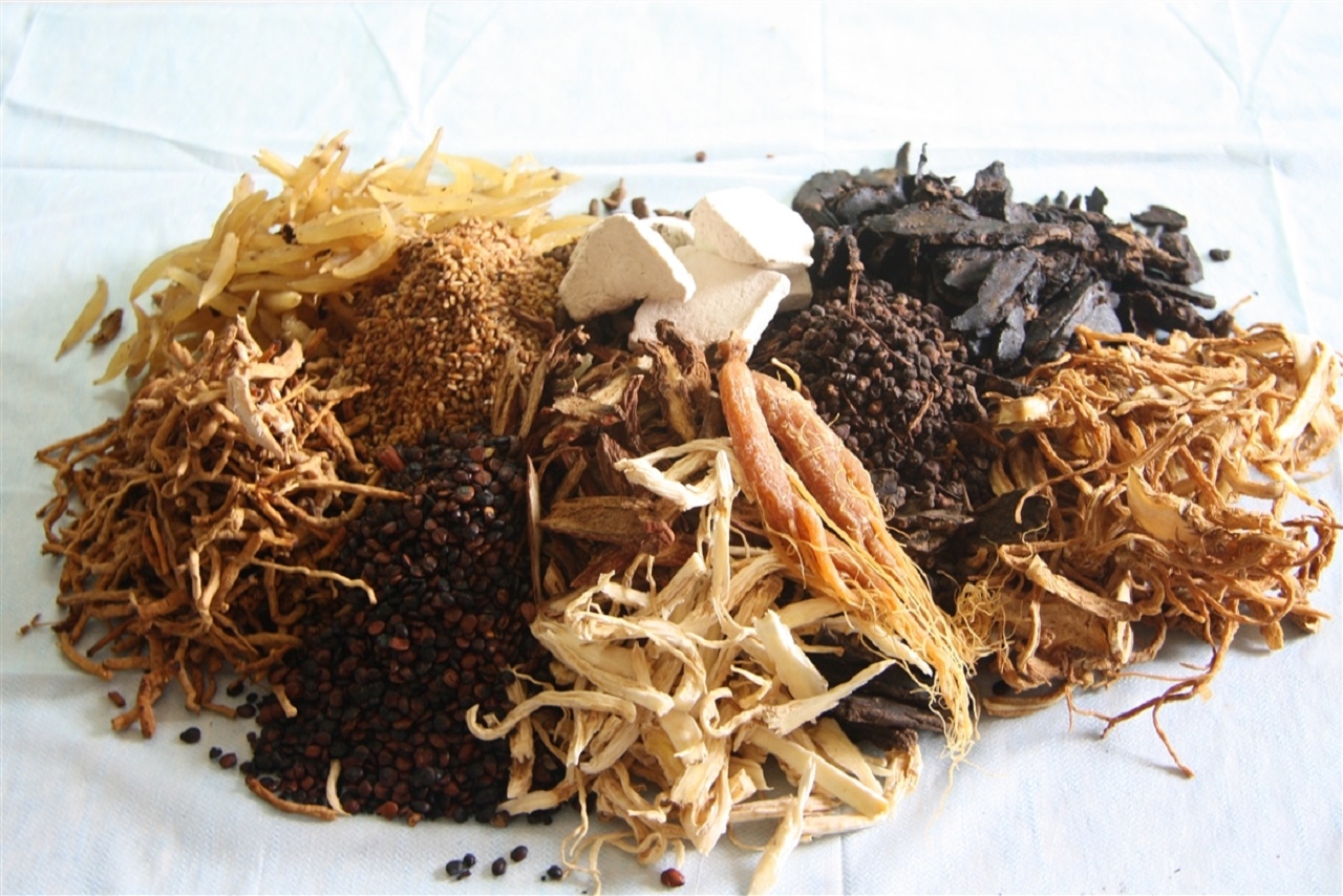 Các loại thuốc đông y trị u nang buồng trứng